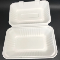 1000ml  Bagasse Pulp compostable fast food packaging take away biodegradable fast food container